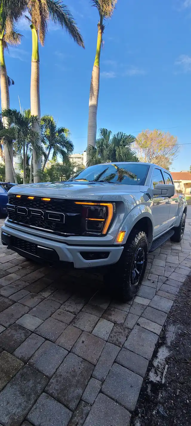 Ford F-150 Raptor parked on pavers under royal palms after a detail